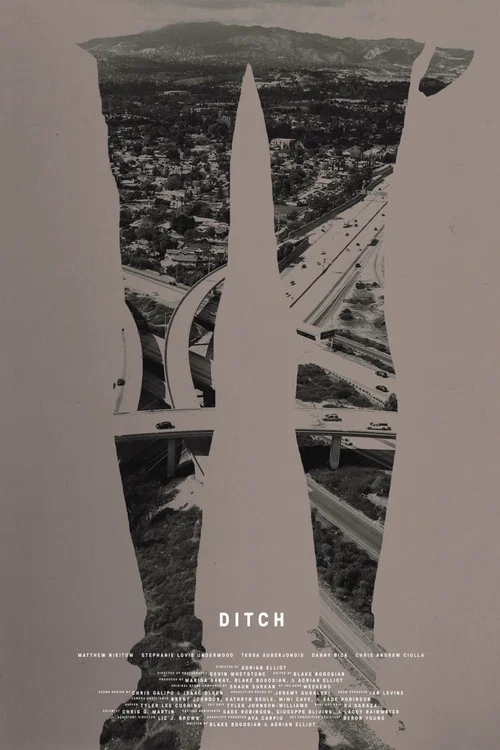 Постер: Ditch