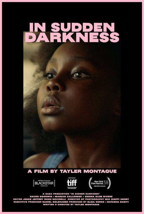 Постер: In Sudden Darkness