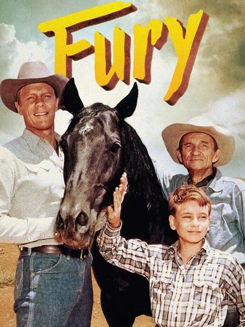 Постер: Fury