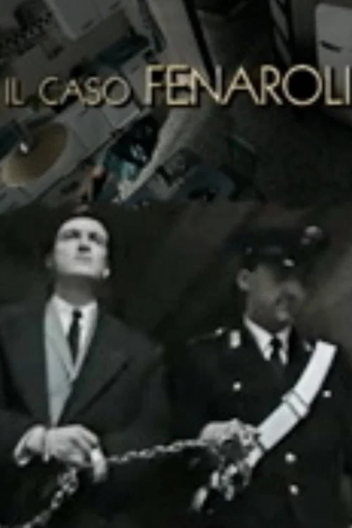 Постер: Il caso Fenaroli