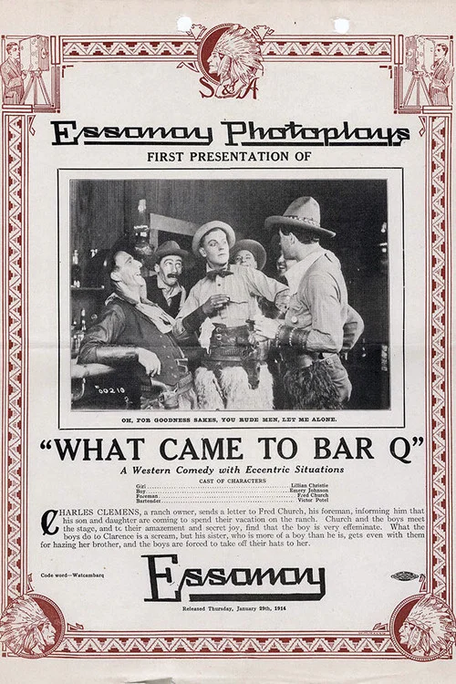 Постер: What Came to Bar Q