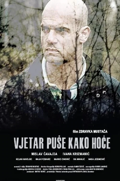 Постер: Vjetar puse kako hoce