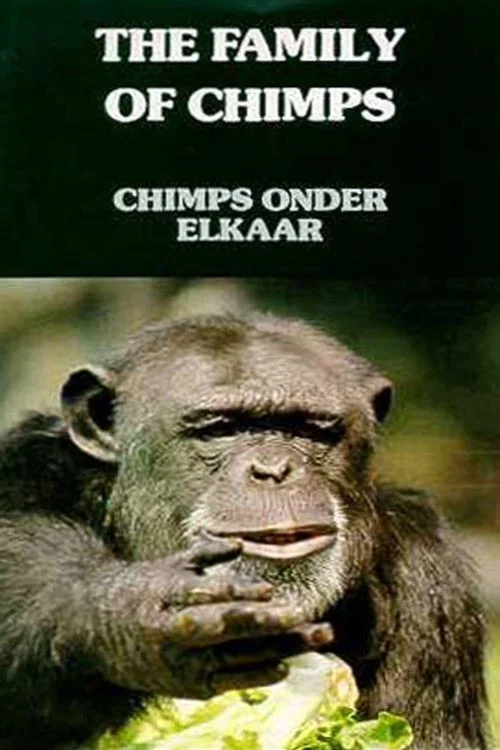 Постер: Chimps onder elkaar