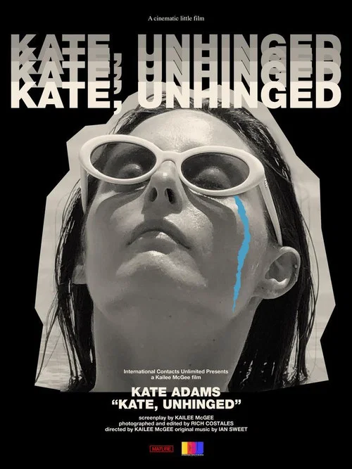 Постер: Kate, Unhinged
