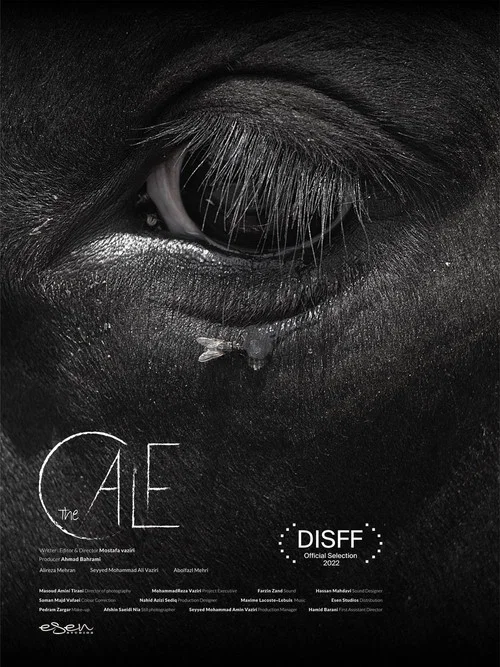 Постер: The Calf