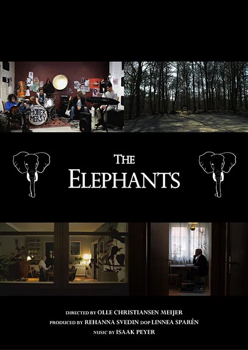 Постер: The Elephants