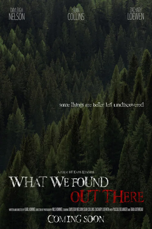 Постер: What We Found Out There