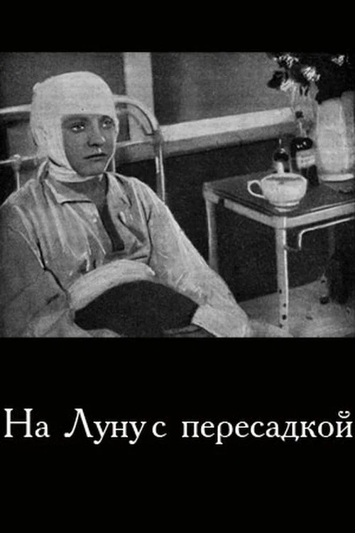 Постер: На Луну с пересадкой