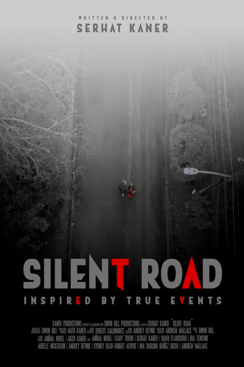 Постер: Silent Road