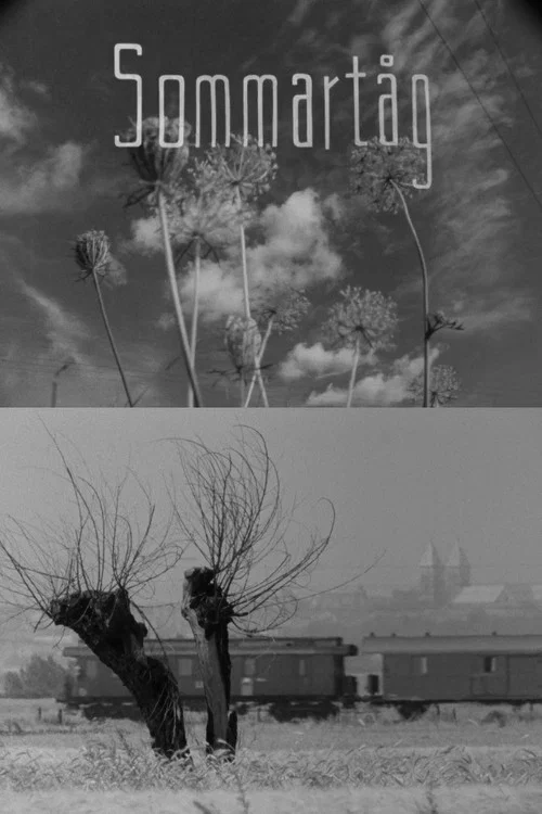 Постер: Sommartåg